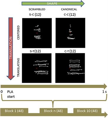 Observation of Point-Light-Walker Locomotion Induces Motor Resonance When Explicitly Represented; An EEG Source Analysis Study
